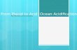 From Placid to Acid: Ocean Acidification