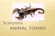 AnIMal  Toxins