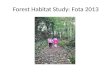 Forest Habitat Study:  Fota  2013