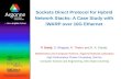 Sockets Direct Protocol for Hybrid Network Stacks: A Case Study with iWARP over 10G Ethernet