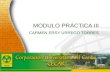 MODULO PRÁCTICA III CARMEN ERSY URREGO TORRES
