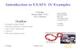 Introduction to EXAFS  IV Examples