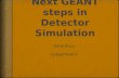 Next  GEANT  steps  in Detector Simulation