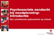 Psychosociale aandacht bij noodplanning: introductie