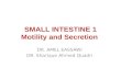 SMALL  INTESTINE 1 Motility and Secretion
