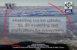 Modelling  sea ice  salinity:  1D , 3D  modelling  and  implications for  ecosystems