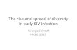 The rise and spread of diversity in early SIV infection