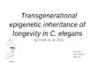 Transgenerational epigenetic inheritance of longevity in C. elegans by Greer et. al. 2011