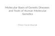 Molecular Basis of Genetic  Diseases and Tools  of Human Molecular Genetics