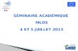 Séminaire Académique  MLDS 4 et 5 juillet 2013