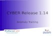 CYBER Release 1.14