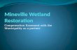 Mineville  Wetland Restoration