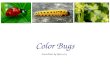 Color Bugs