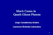 Mach Cones in   Quark Gluon Plasma