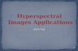 Hyperspectral  Images Applications 