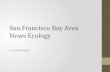 San  Francisco Bay  Area  News  Ecology