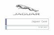 Jaguar Case