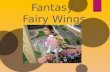 Fantasy  Fairy Wings