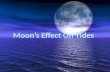 Moon’s Effect On Tides