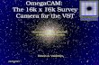 OmegaCAM:  The 16k x 16k Survey Camera for the VST