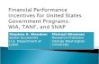 Financial Performance Incentives for United States Government Programs:  WIA, TANF, and SNAP