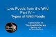 Live Foods from the Wild Part IV –  Types of Wild Foods