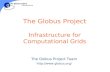 The Globus Project Infrastructure for Computational Grids