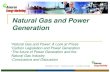 Natural Gas and Power Generation
