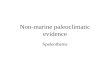 Non-marine paleoclimatic evidence