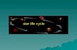 Astronomy – Stellar Evolution
