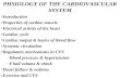 PHSIOLOGY OF THE CARDIOVASCULAR SYSTEM Introduction Properties of cardiac muscle