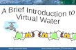 A Brief Introduction to  Virtual Water