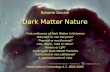 Dark Matter Nature