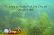 Journey to Bottom of the Ocean Ocean Floor