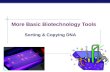 More Basic Biotechnology Tools