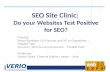 SEO Site Clinic:  Do your Websites Test Positive for SEO?