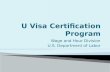 U Visa Certification Program