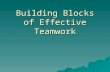 Building Blocks of Effective Teamwork