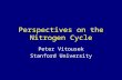 Perspectives on the Nitrogen Cycle