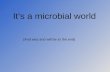 It’s a microbial world