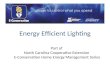 Energy Efficient Lighting