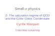 Small- x  physics 2- The saturation regime of QCD and the Color Glass Condensate