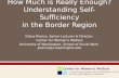 How Much is Really Enough? Understanding Self-Sufficiency in the Border Region