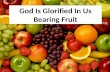 God Is Glorified In Us Bearing Fruit