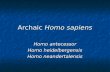 Archaic  Homo sapiens