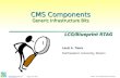 CMS Components Generic Infrastructure Bits
