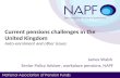 Current pensions challenges in the United Kingdom  Auto-enrolment and other issues