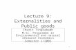 Lecture 9: Externalities and Public goods