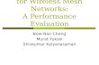 Directional Routing for Wireless Mesh Networks: A Performance Evaluation