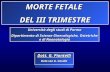 MORTE FETALE  DEL III TRIMESTRE
